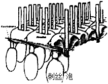 菁優(yōu)網(wǎng)