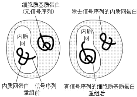 菁優(yōu)網