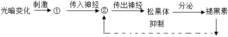 菁優(yōu)網(wǎng)