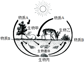 菁優(yōu)網(wǎng)