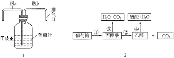 菁優(yōu)網(wǎng)