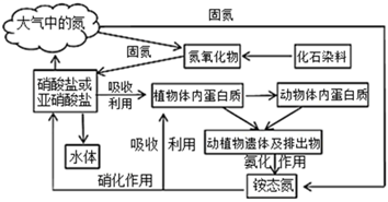 菁優(yōu)網(wǎng)