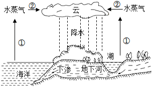 菁優(yōu)網