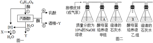 菁優(yōu)網