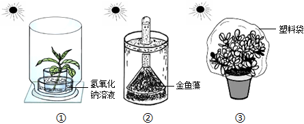 菁優(yōu)網(wǎng)