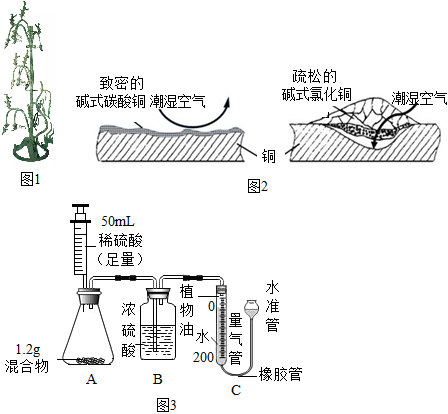 菁優(yōu)網(wǎng)