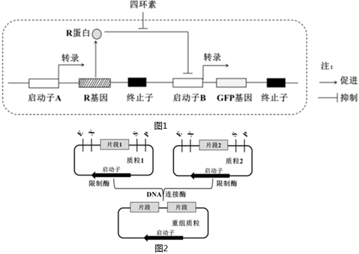 菁優(yōu)網