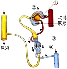 菁優(yōu)網(wǎng)