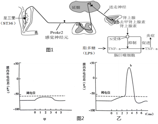 菁優(yōu)網(wǎng)