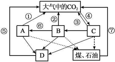 菁優(yōu)網