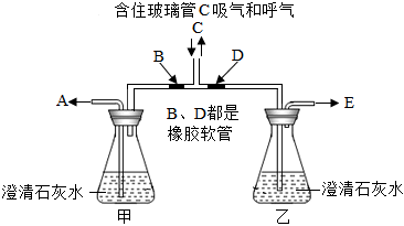 菁優(yōu)網(wǎng)