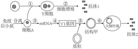 菁優(yōu)網(wǎng)