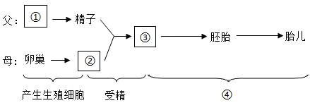 菁優(yōu)網