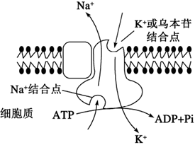 菁優(yōu)網