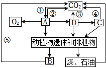 菁優(yōu)網