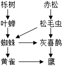 菁優(yōu)網(wǎng)