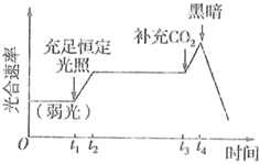 菁優(yōu)網(wǎng)