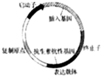 菁優(yōu)網(wǎng)