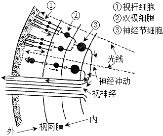 菁優(yōu)網