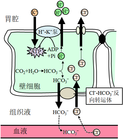 菁優(yōu)網