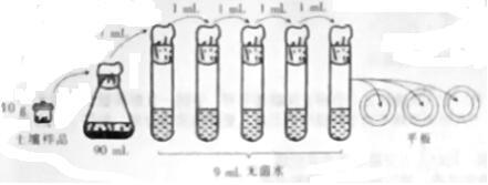 菁優(yōu)網