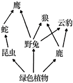 菁優(yōu)網(wǎng)