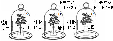 菁優(yōu)網(wǎng)