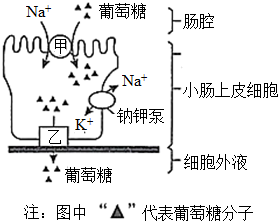 菁優(yōu)網(wǎng)