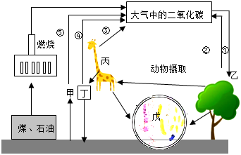 菁優(yōu)網(wǎng)