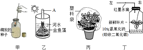 菁優(yōu)網(wǎng)