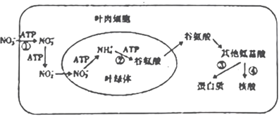 菁優(yōu)網(wǎng)