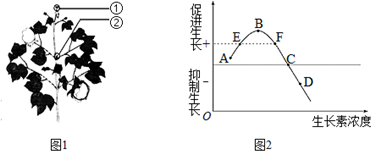 菁優(yōu)網