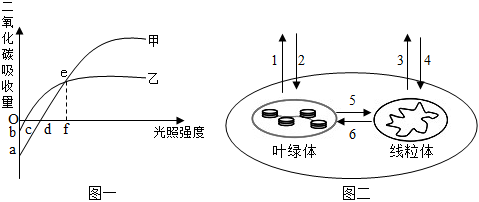 菁優(yōu)網(wǎng)