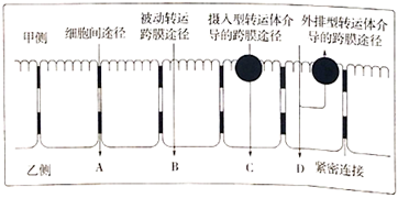 菁優(yōu)網(wǎng)