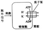 菁優(yōu)網(wǎng)