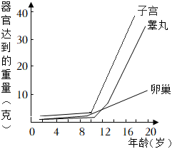 菁優(yōu)網