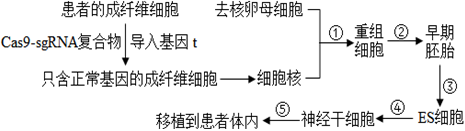 菁優(yōu)網