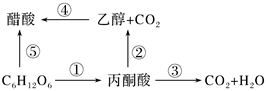 菁優(yōu)網