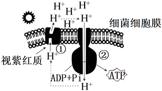 菁優(yōu)網(wǎng)