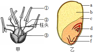 菁優(yōu)網