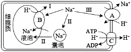 菁優(yōu)網(wǎng)