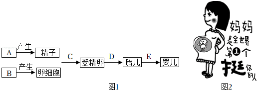 菁優(yōu)網