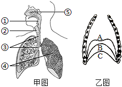 菁優(yōu)網(wǎng)