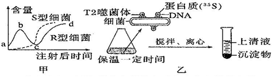 菁優(yōu)網