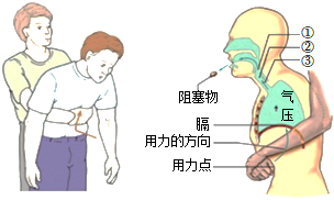 菁優(yōu)網