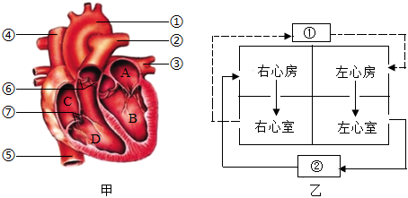 菁優(yōu)網(wǎng)