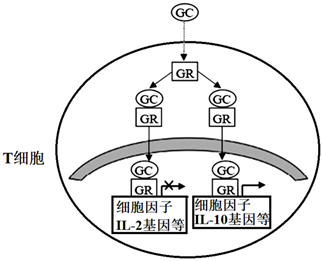 菁優(yōu)網