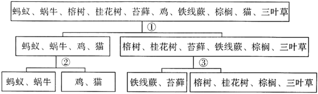 菁優(yōu)網(wǎng)