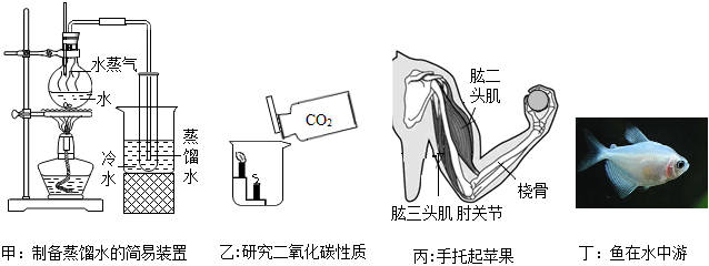 菁優(yōu)網(wǎng)