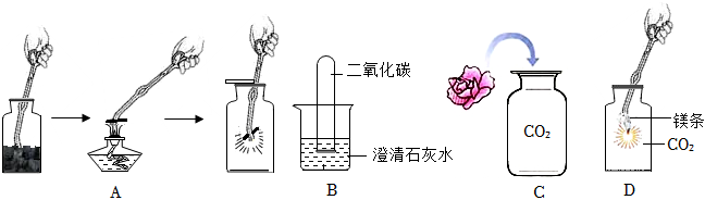 菁優(yōu)網